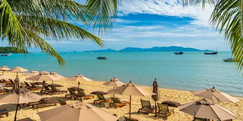 What Are the Top Things to Do in Key West?