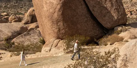 7 Must-Experience Joshua Tree Hikes